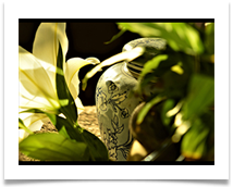 Pot and Plants - Jane Turner